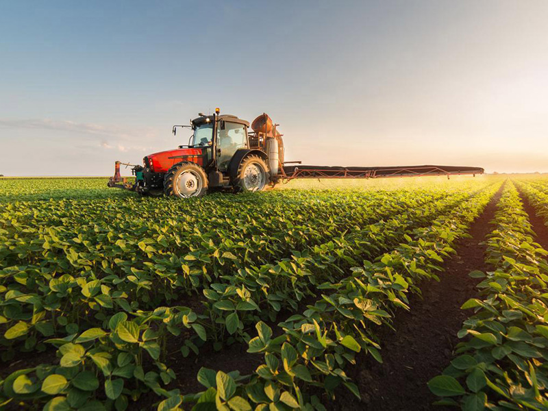 Crecieron los patentamientos y la demanda más fuerte llegó a través del sector agropecuario - Vimarsana News