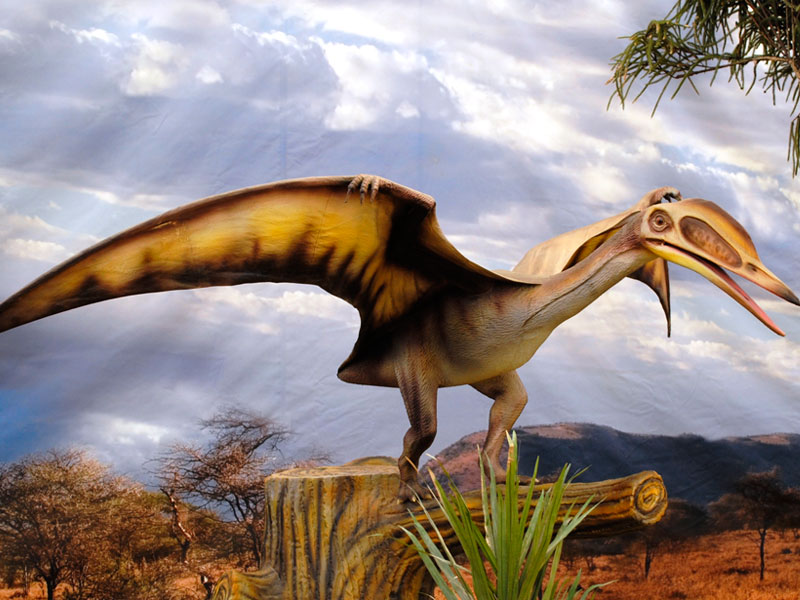 Descubren “el pariente terrestre” de reptiles voladores que convivieron con  los dinosaurios – Diario El Ciudadano y la Región