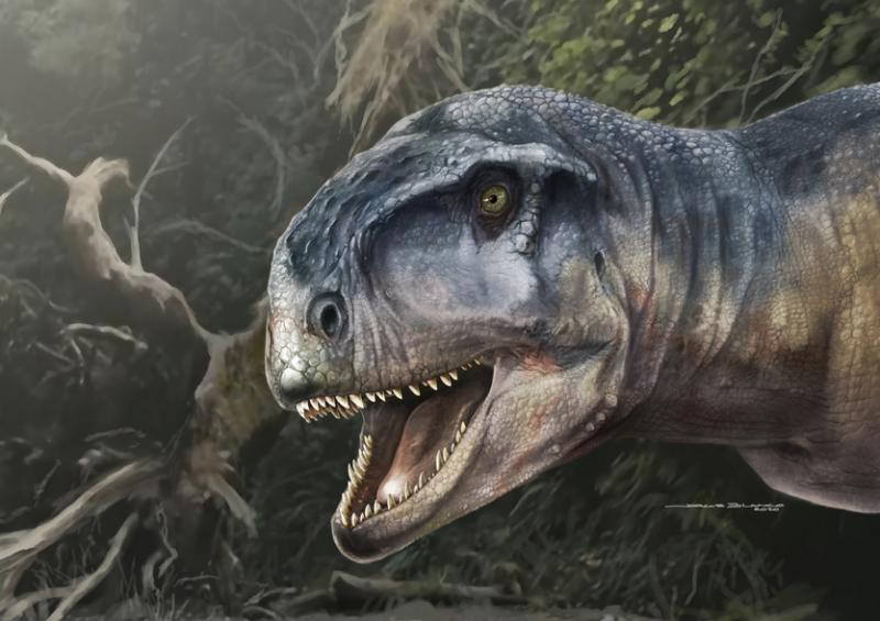 Restos fósiles encontrados en Neuquén dan cuenta de otro gran dinosaurio  carnívoro desconocido – Diario El Ciudadano y la Región
