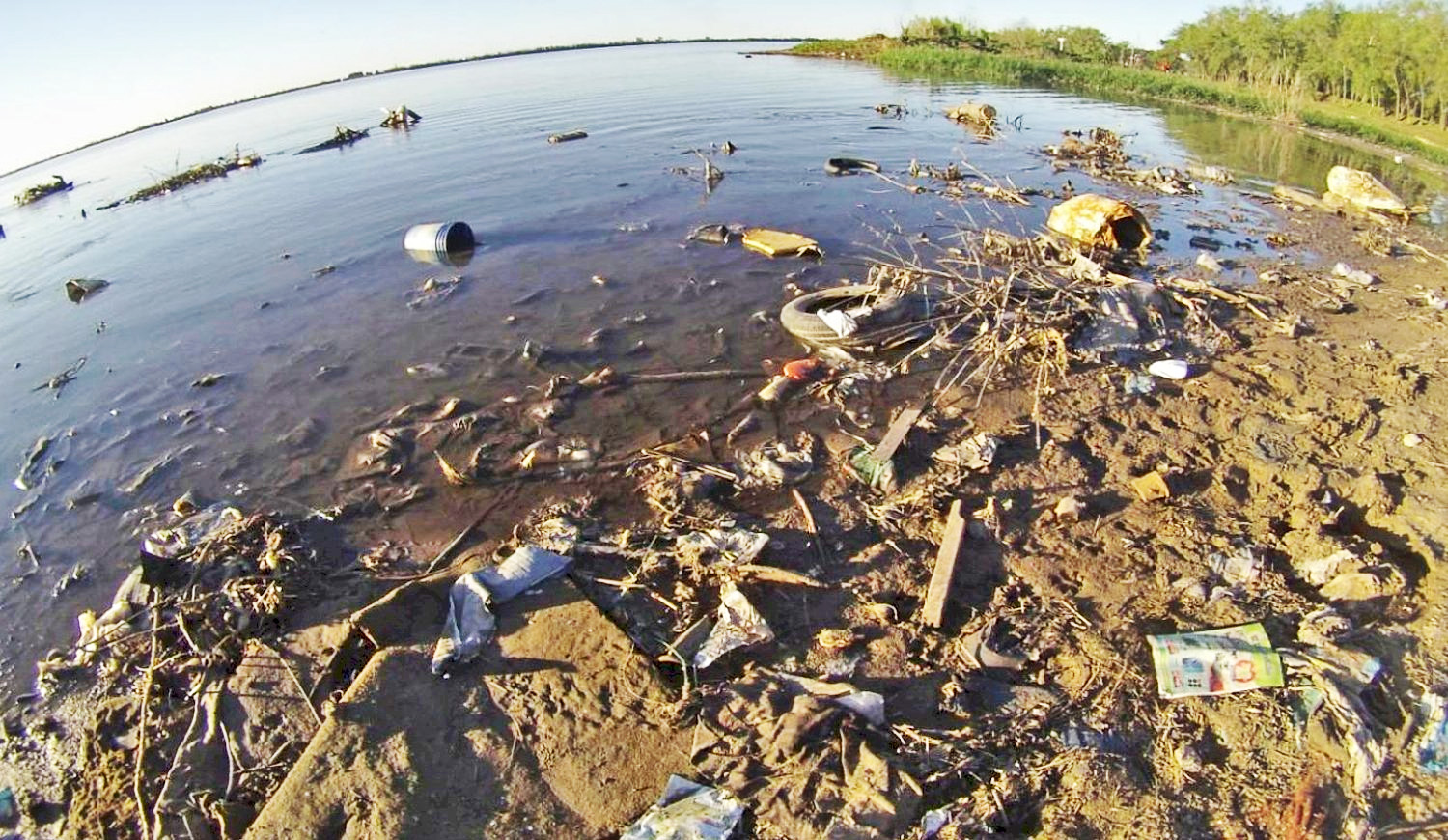 El fuego no está solo: los desechos plásticos son otra amenaza para el río  Paraná y su fauna – Diario El Ciudadano y la Región