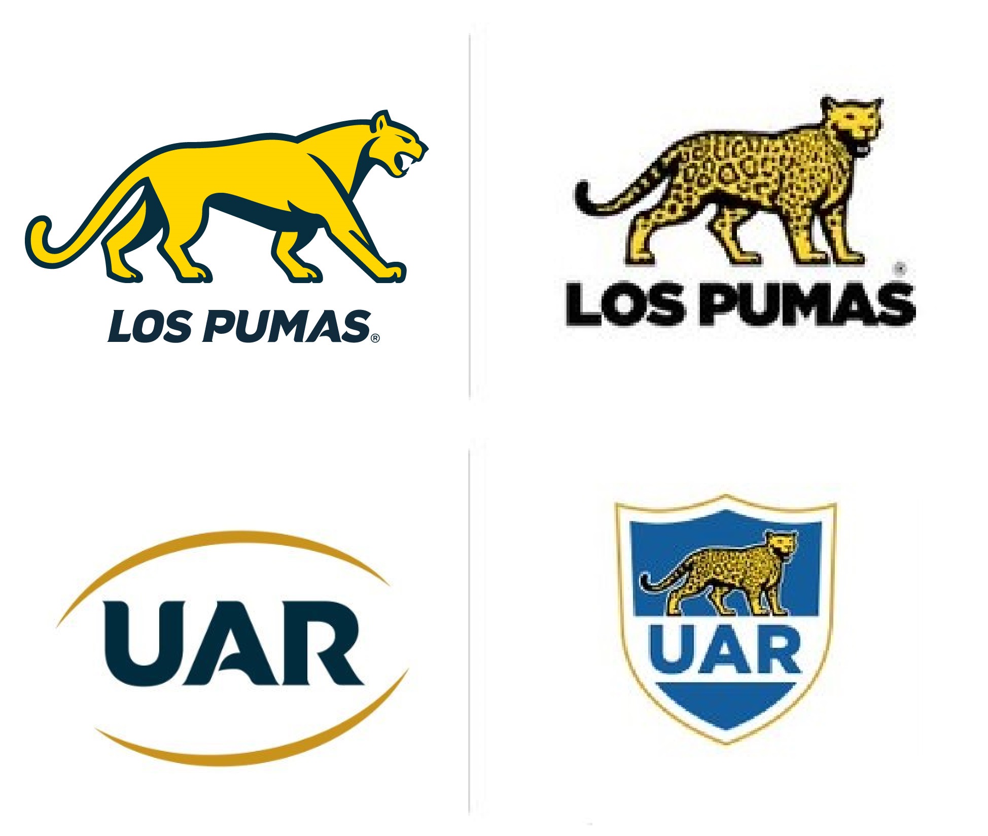 Debate y polémica en puerta: la UAR anunció nueva identidad y el Puma ...