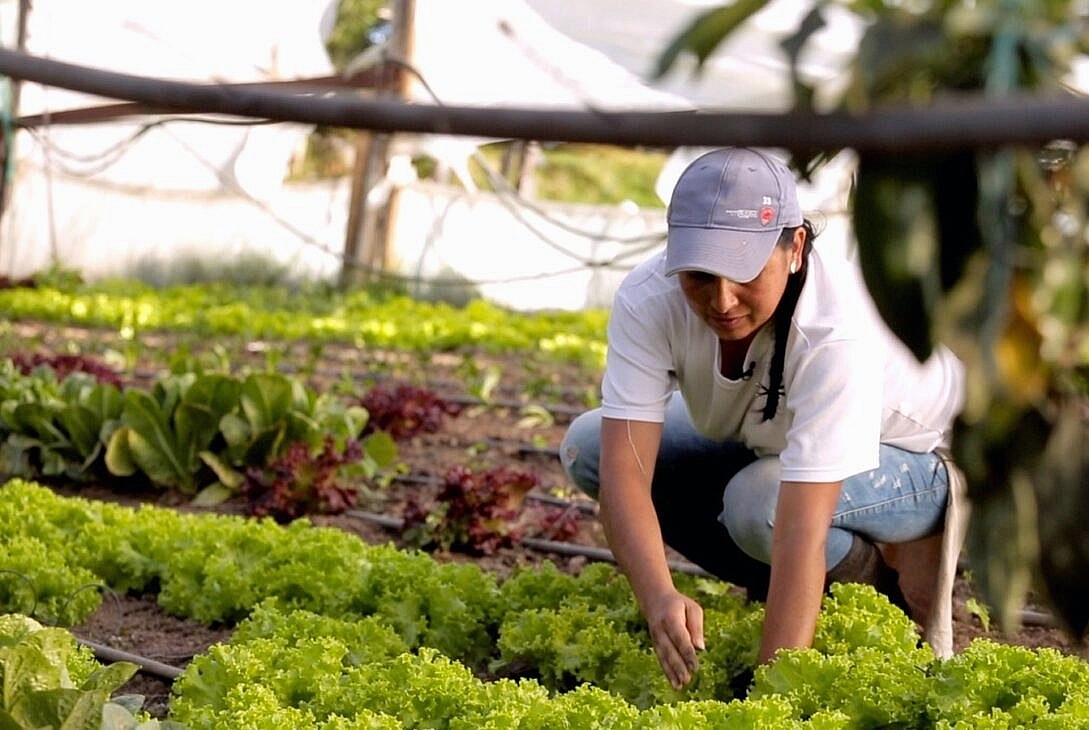 agricultura-familiar-generico