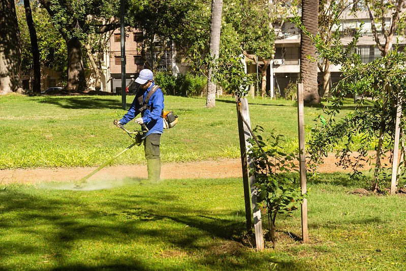 El municipio intensifica tareas de desmalezado en espacios verdes y vía ...